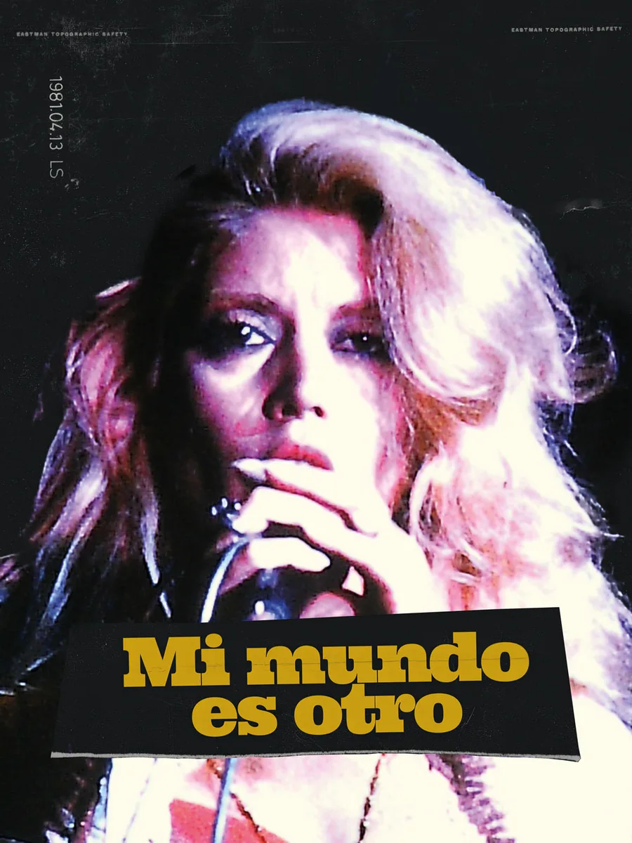 Poster de Mi mundo es otro